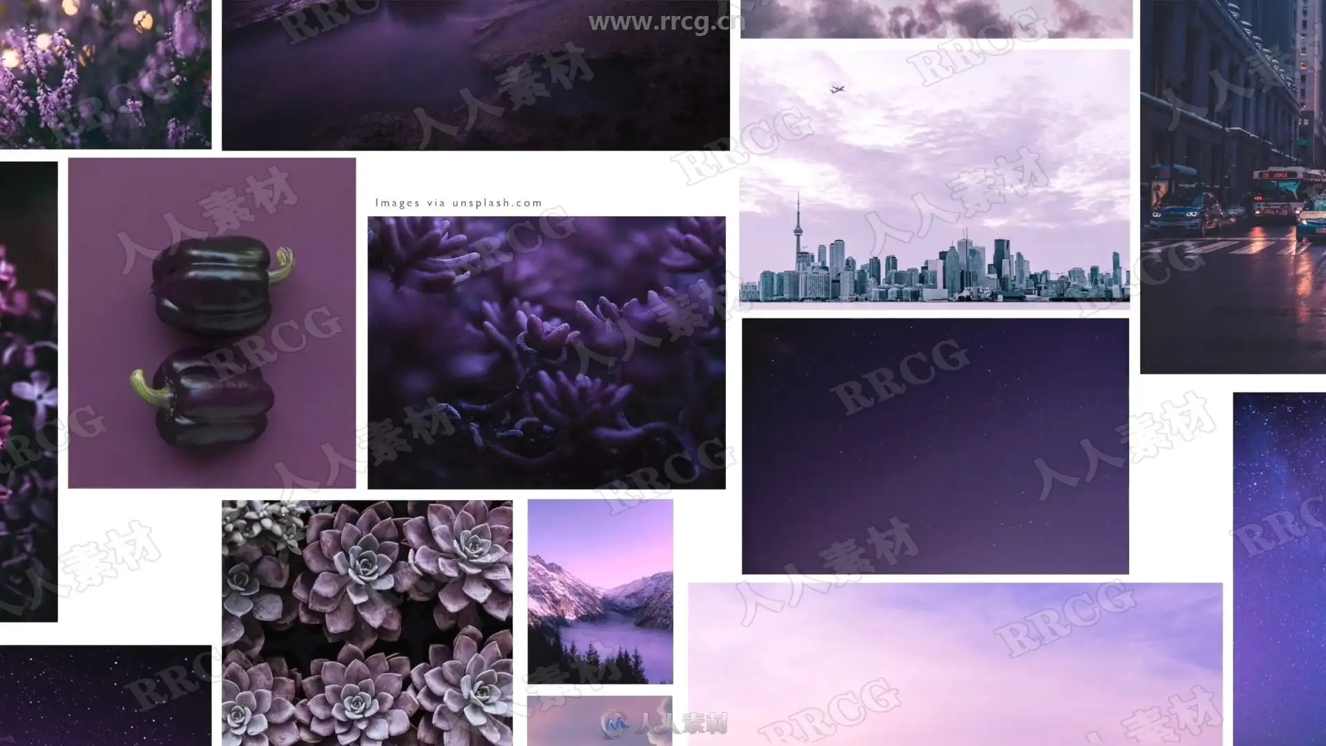 no name (5)
