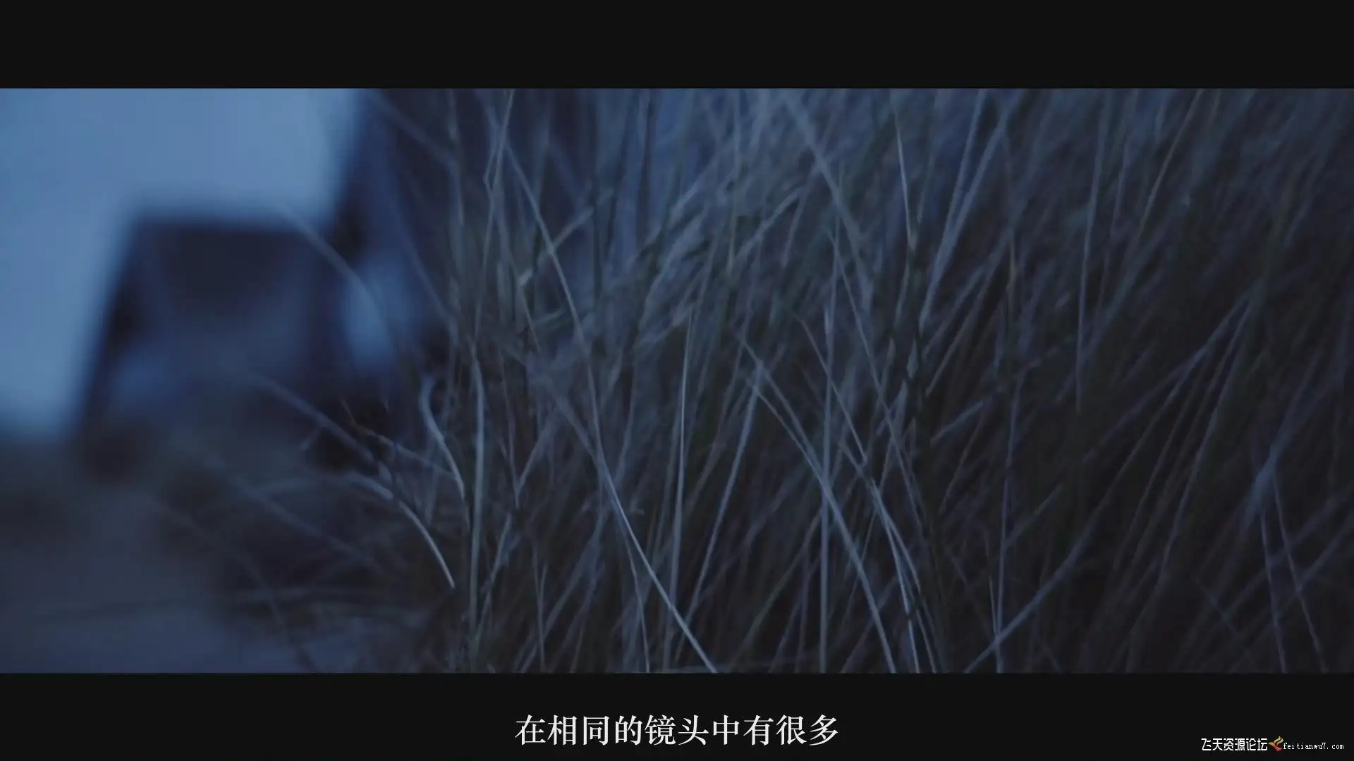 no name (11)