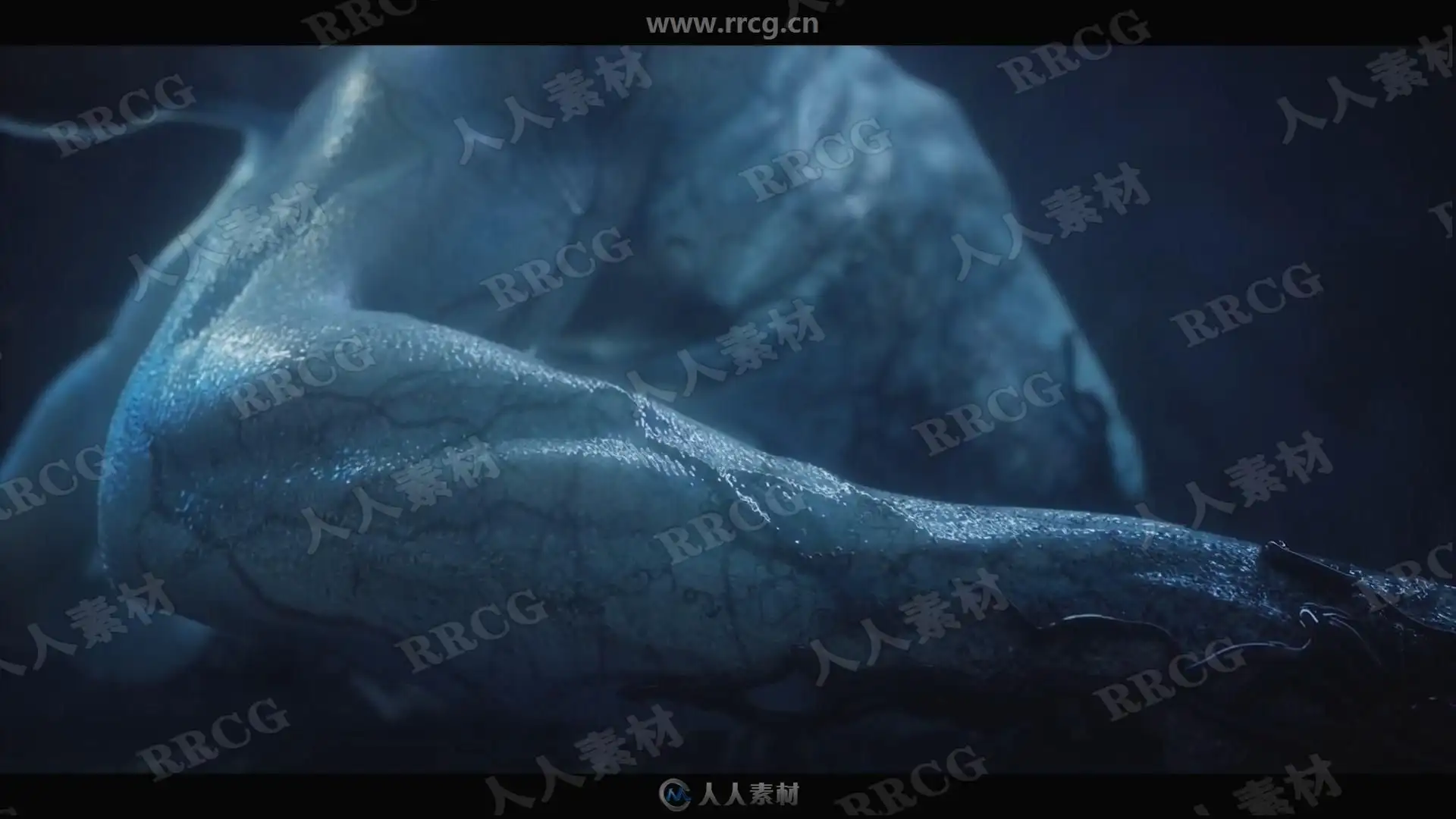 no name (9)