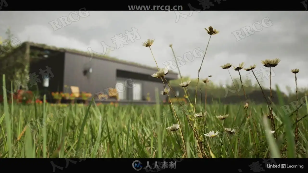 no name (2)