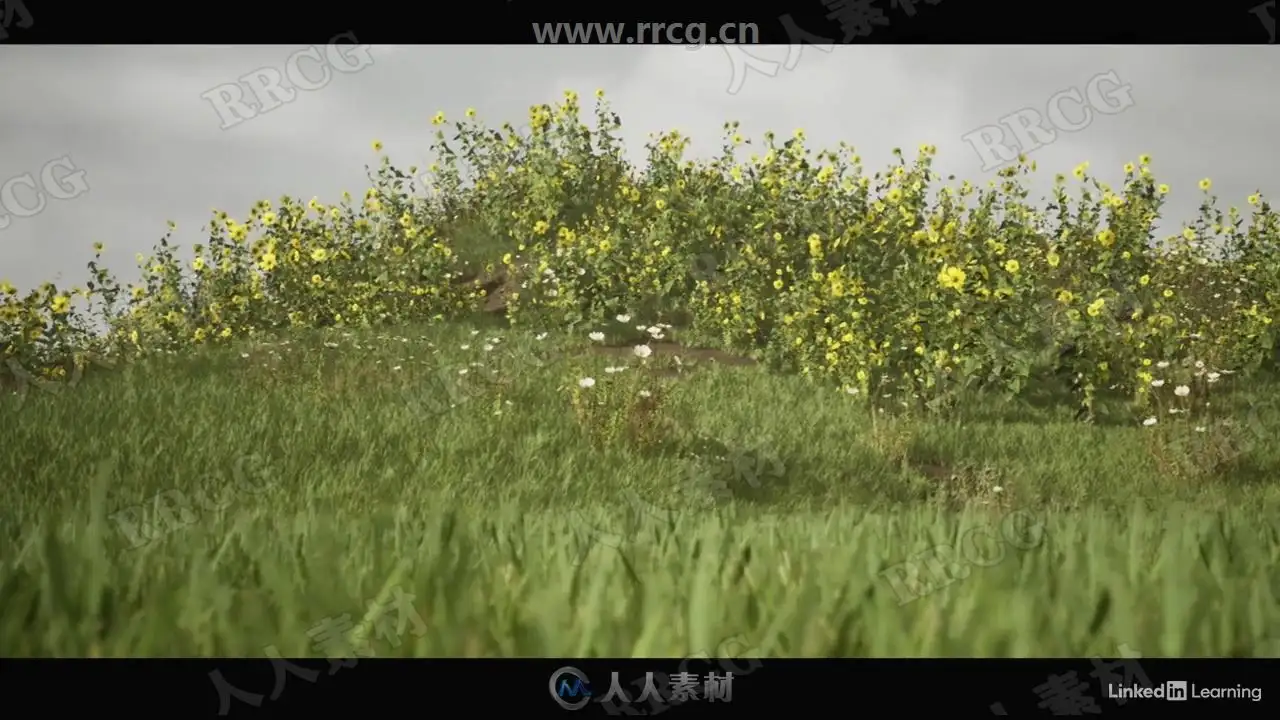 no name (4)