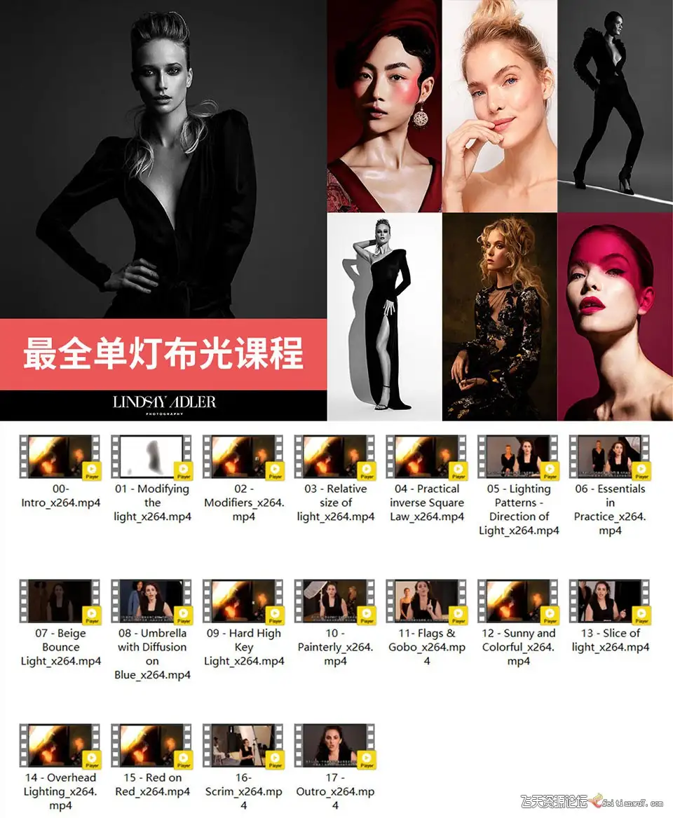 【中文字幕】如何利用单灯玩转棚拍人像Lindsay Adler实用单灯摄影技巧