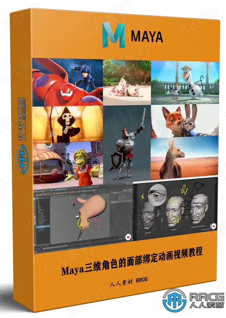 Maya三维角色的面部绑定动画视频教程
