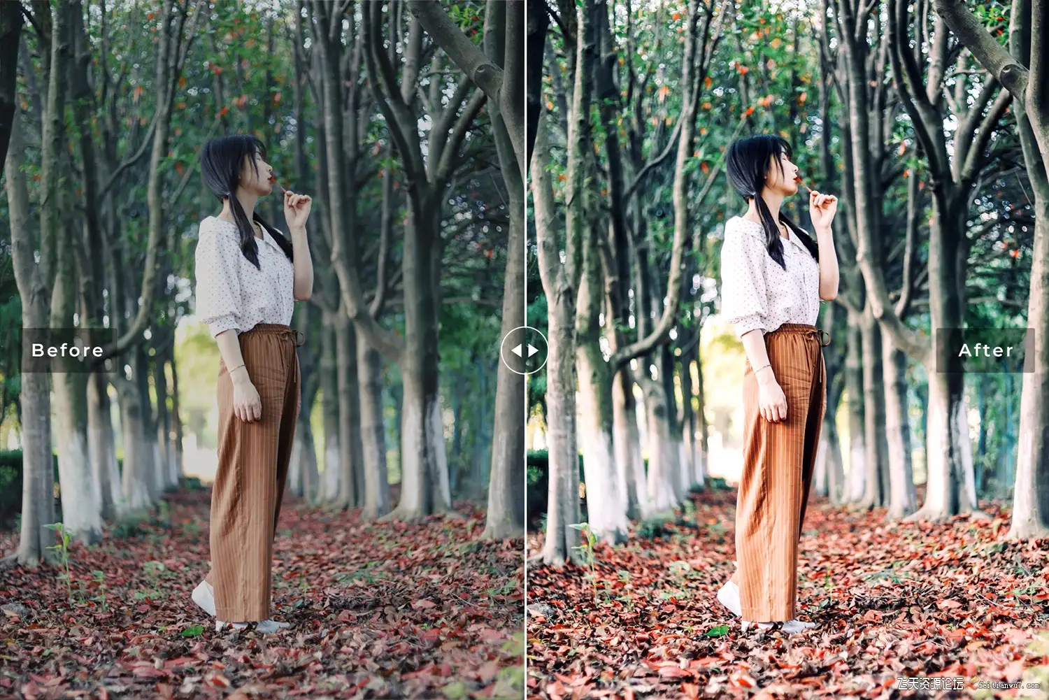 no name (1)