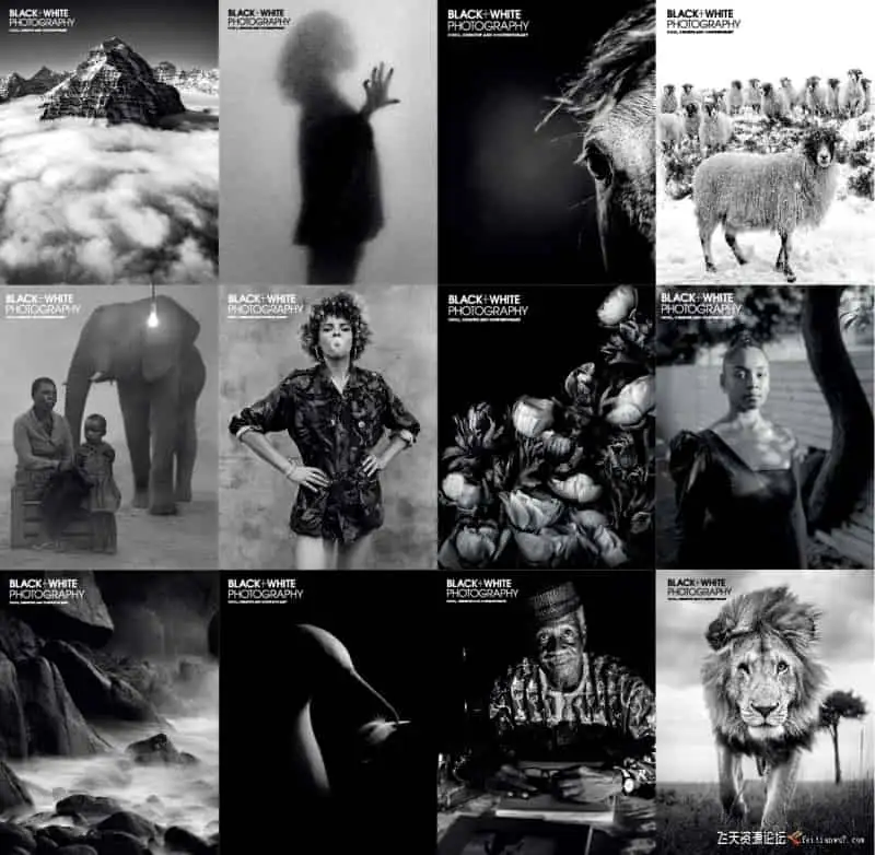 黑白摄影 [ Black + White Photography ] 2021 合集 / 12本 / PDF