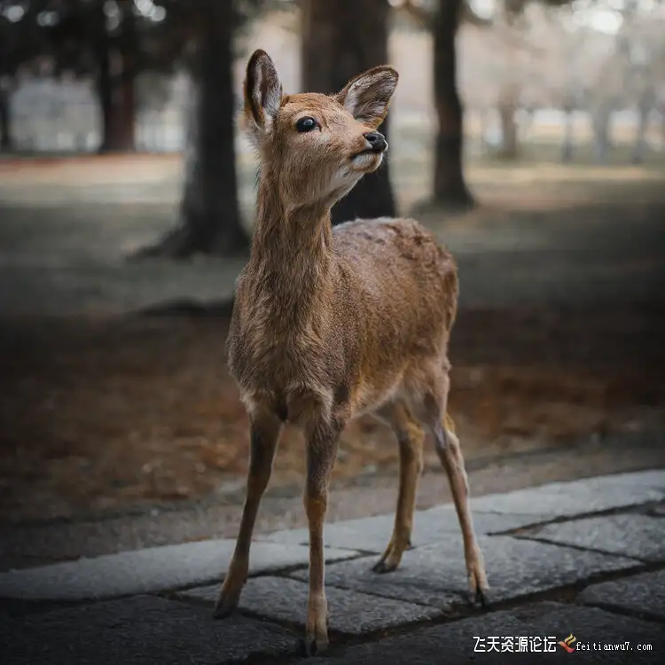 no name (22)