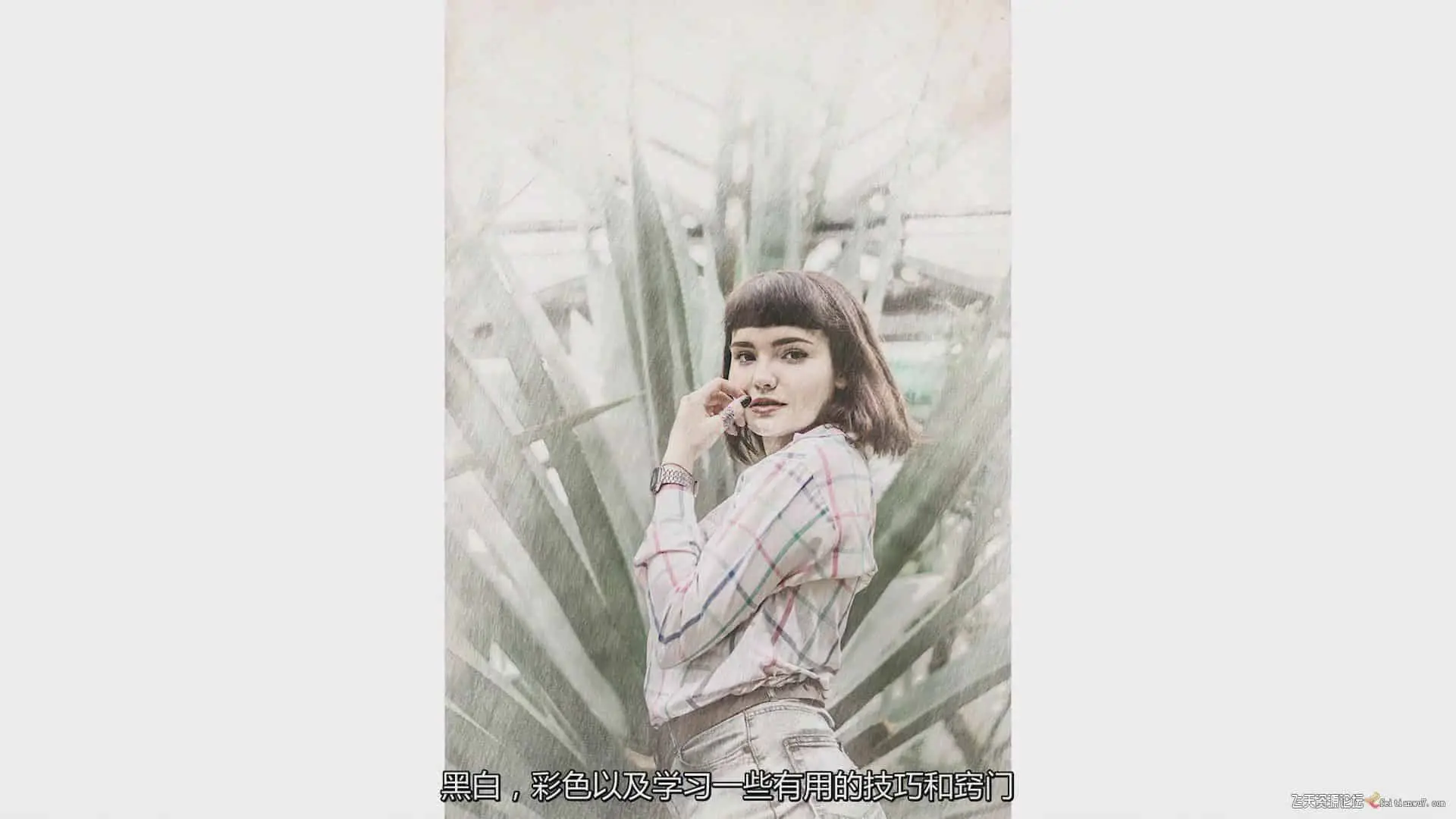 no name (4)