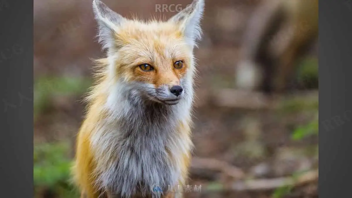 no name (1)