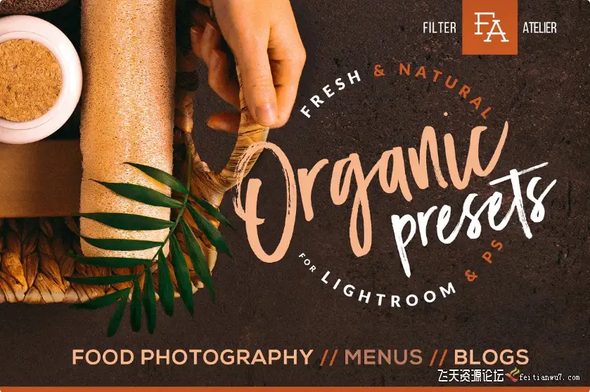 有机食品美食摄影后期PS/Lightroom预设Organic Food Presets