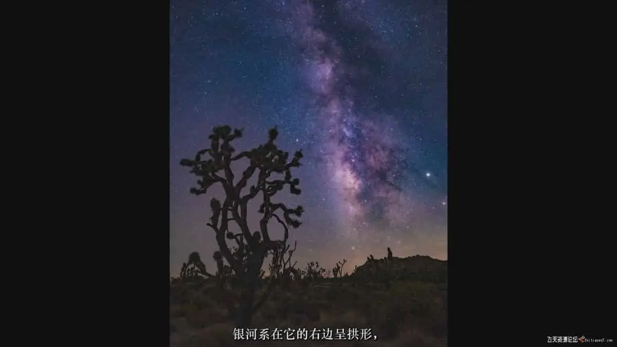 no name (11)
