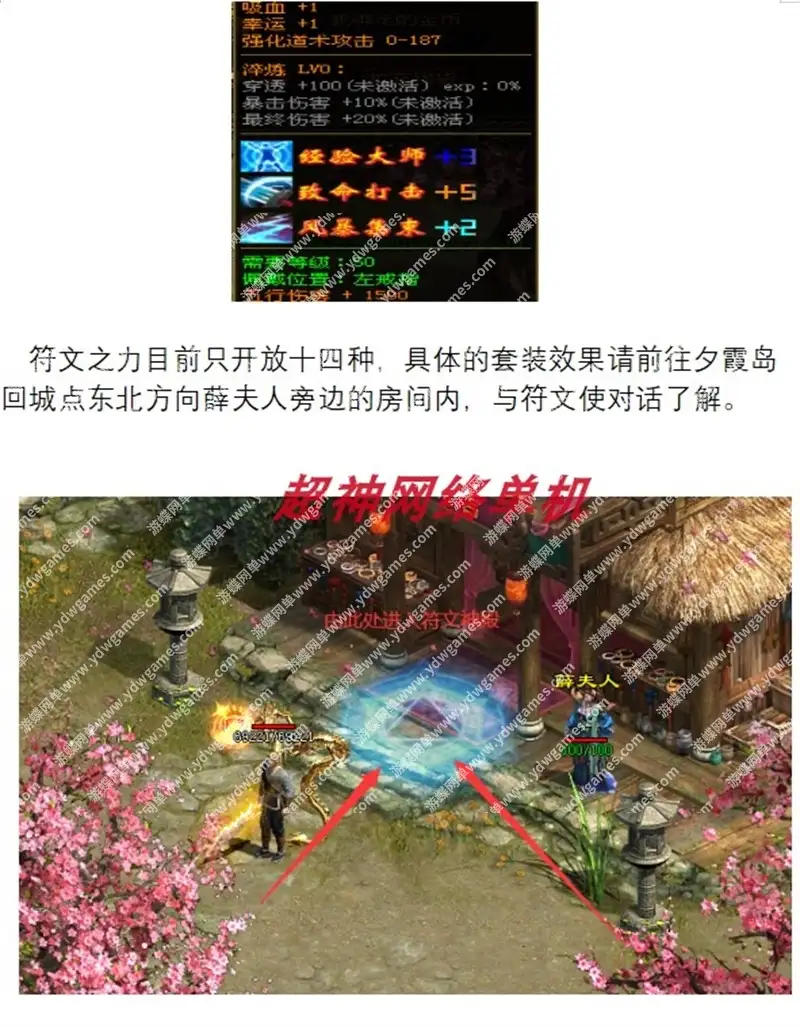 24033139300