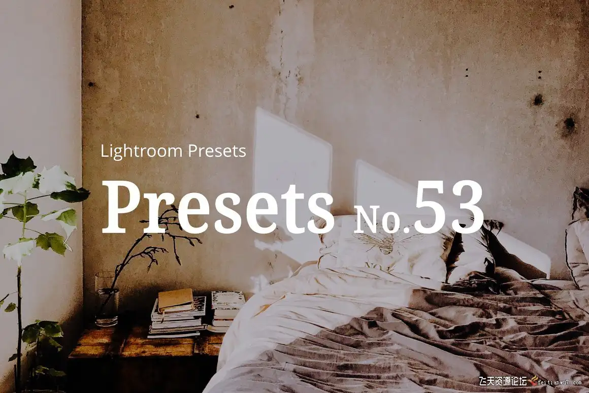 室内家居产品静物摄影Lightroom预设›Interior Lightroom Presets i