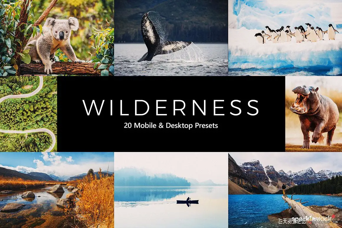 背包客旅拍风光胶片Lightroom预设/APP预设/LUTs预设Wilderness LR Presets+LUTs