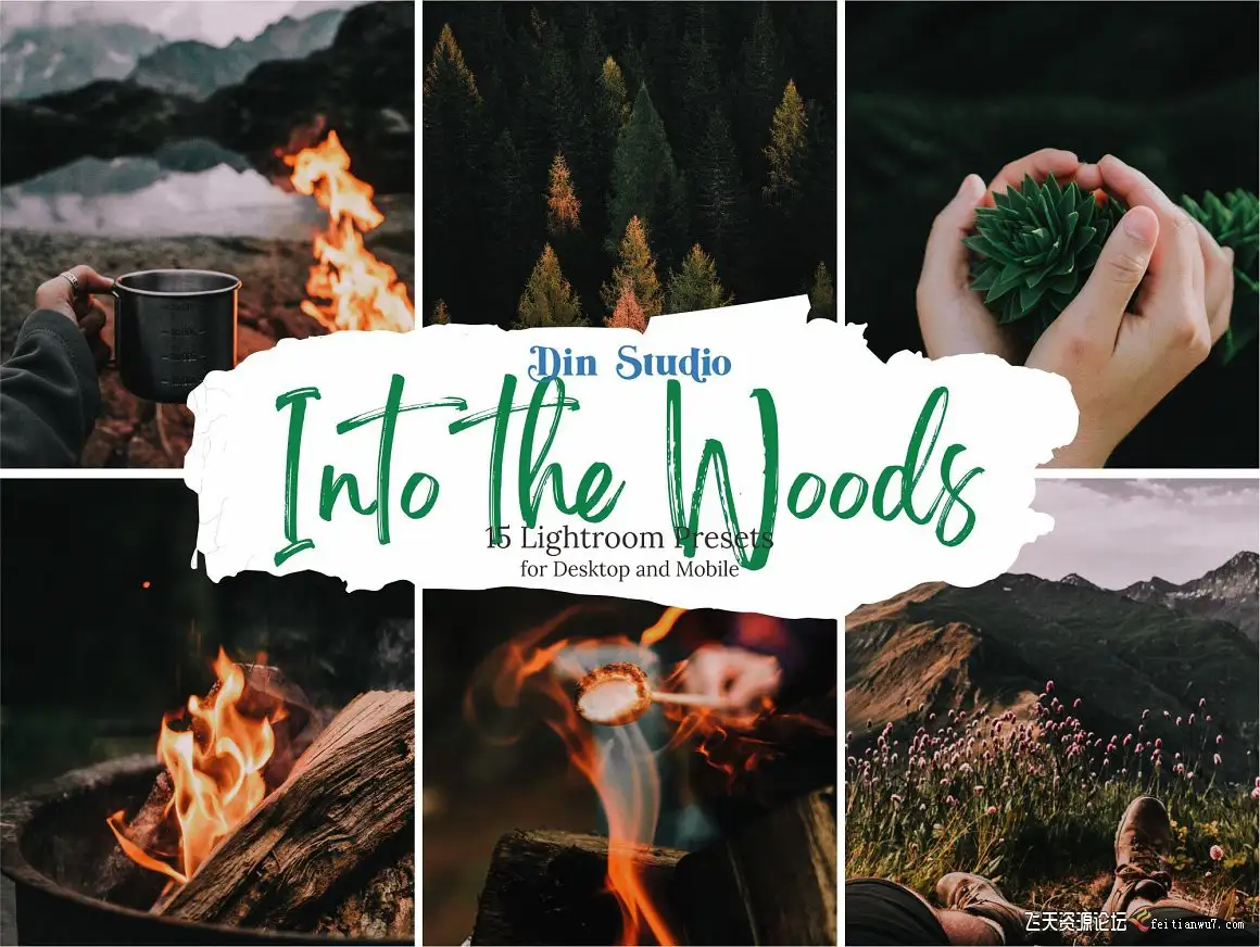 旅拍风光走进树林-胶片感色调LR预设Into The Woods Lightroom Presets