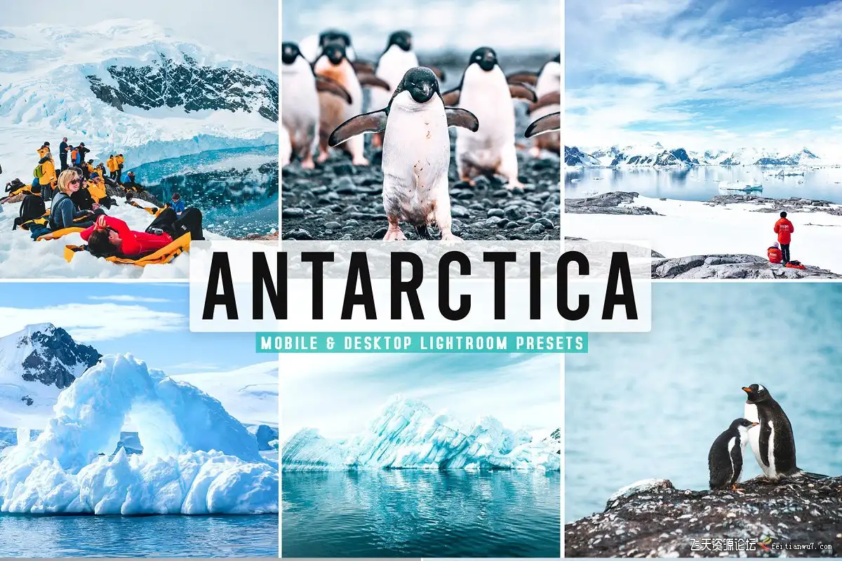 南极冰川冰山旅拍风光Lightroom预设/APP滤镜Antarctica Pro Lightroom Presets