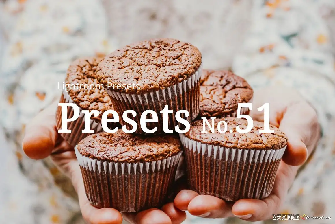 10种美食拍摄清新胶片Lightroom预设预设10 Food Lightroom Presets