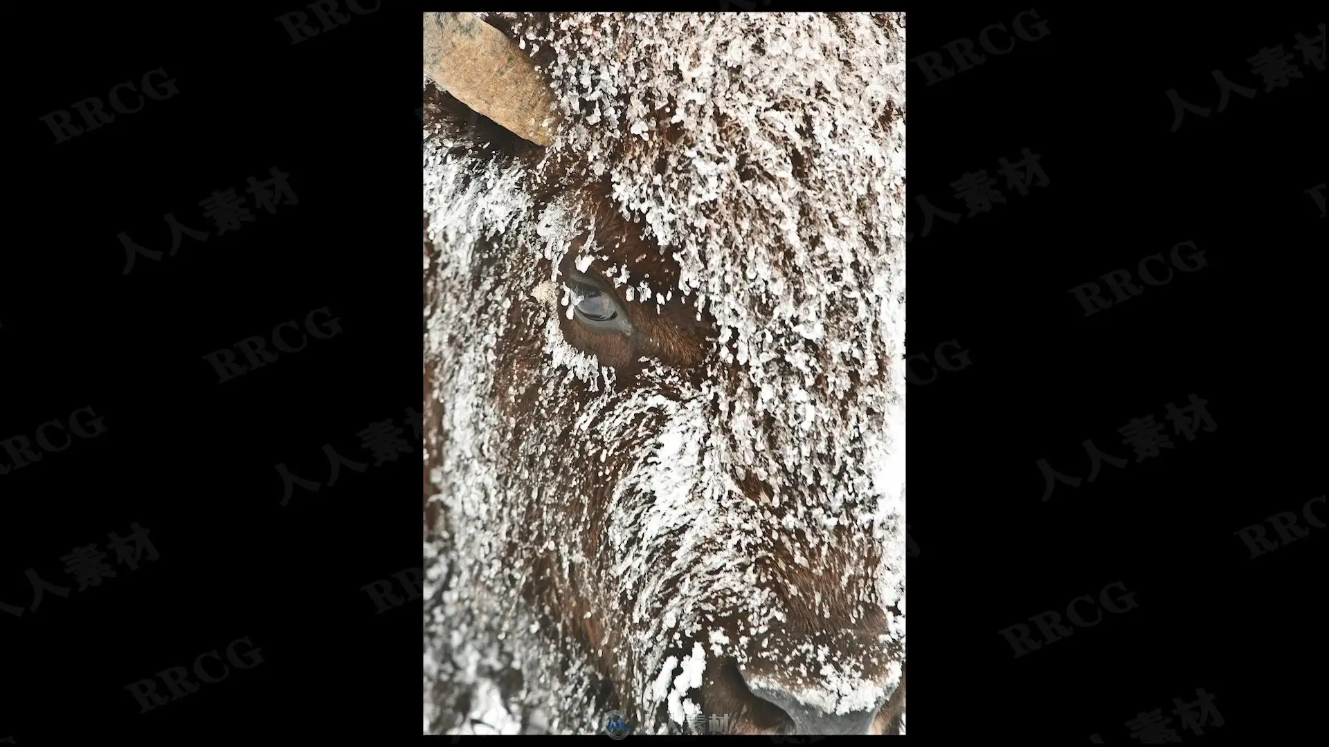 no name (4)