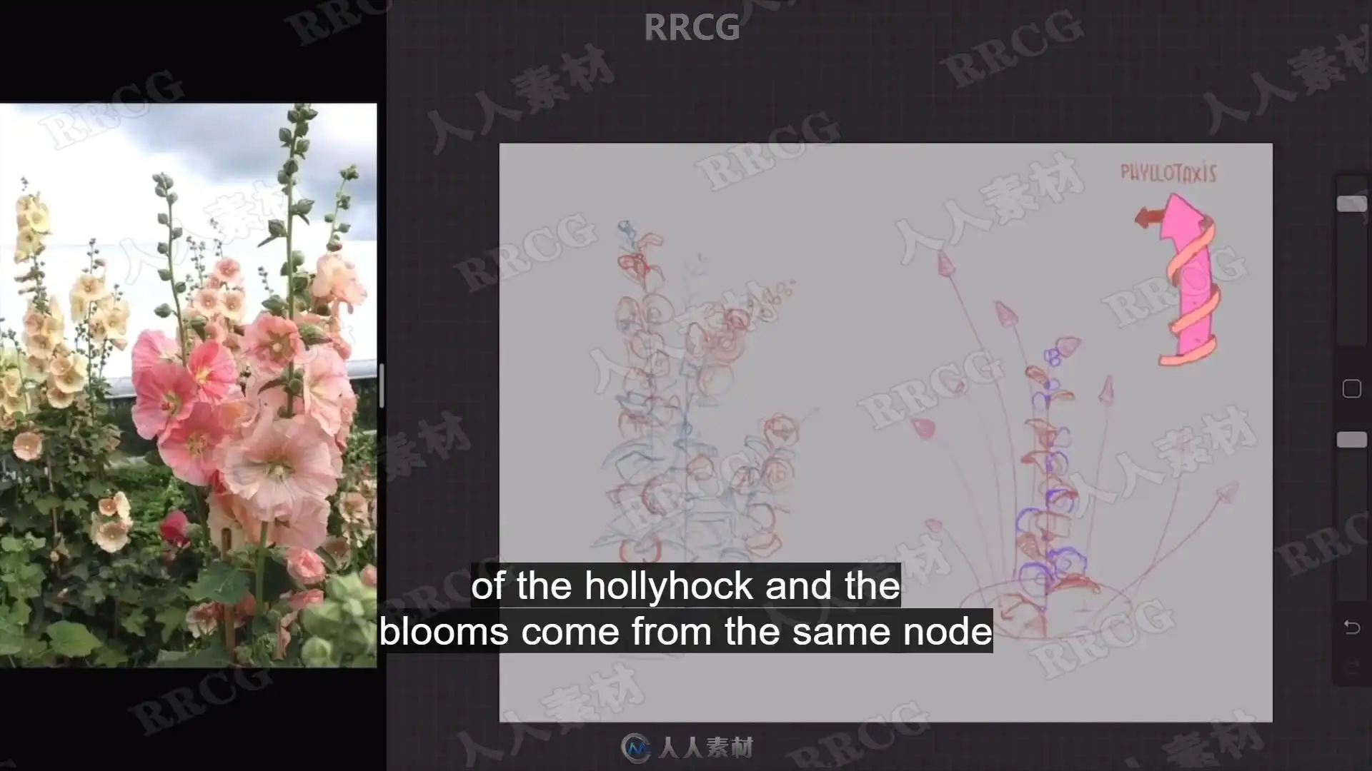 100052euuv8ccjbq1br1sq