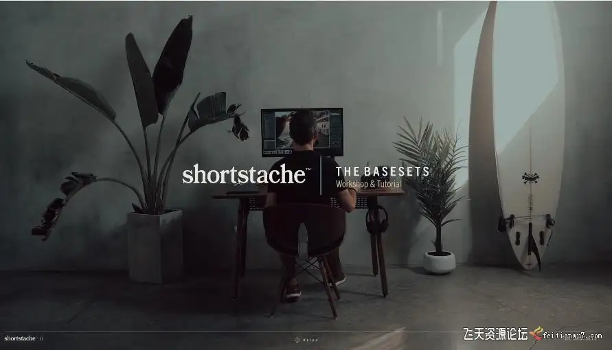 DVLOP自然摄影师嘉纳特电影美学LR预设DVLOP Shortstache The Basesets