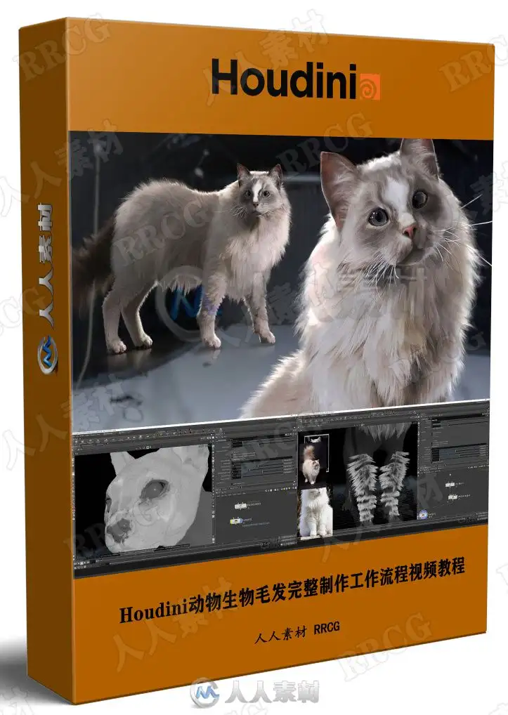 Houdini动物生物毛发完整制作工作流程视频教程
