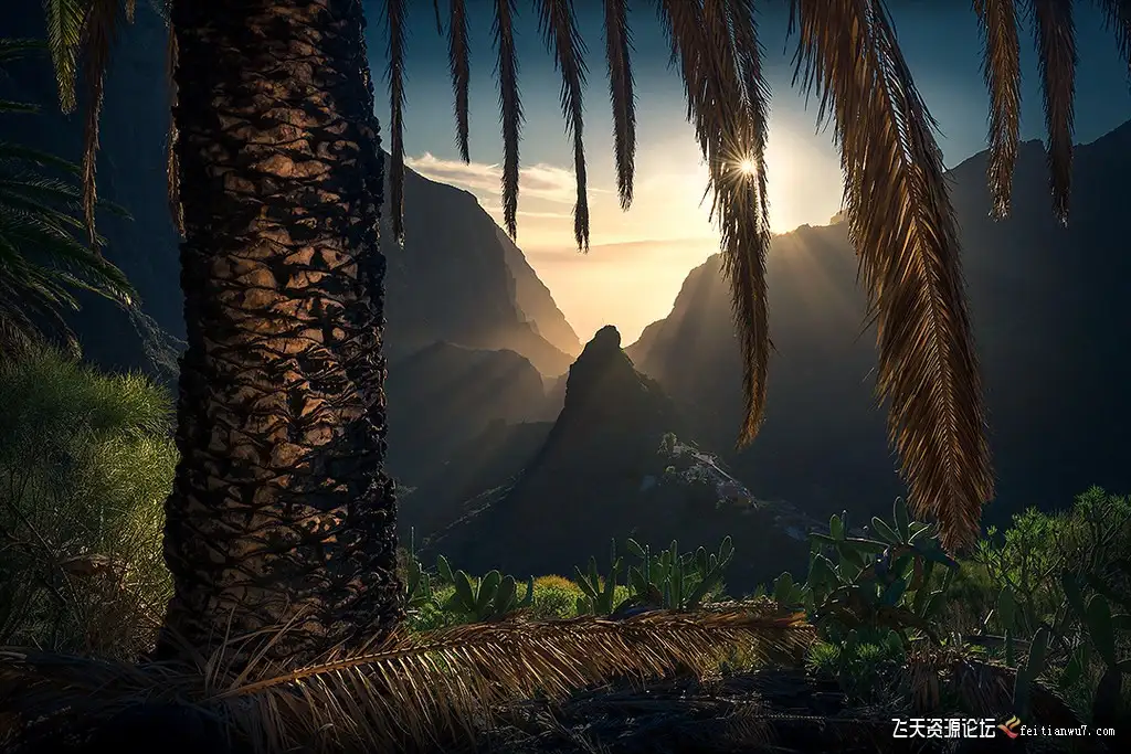 no name (20)