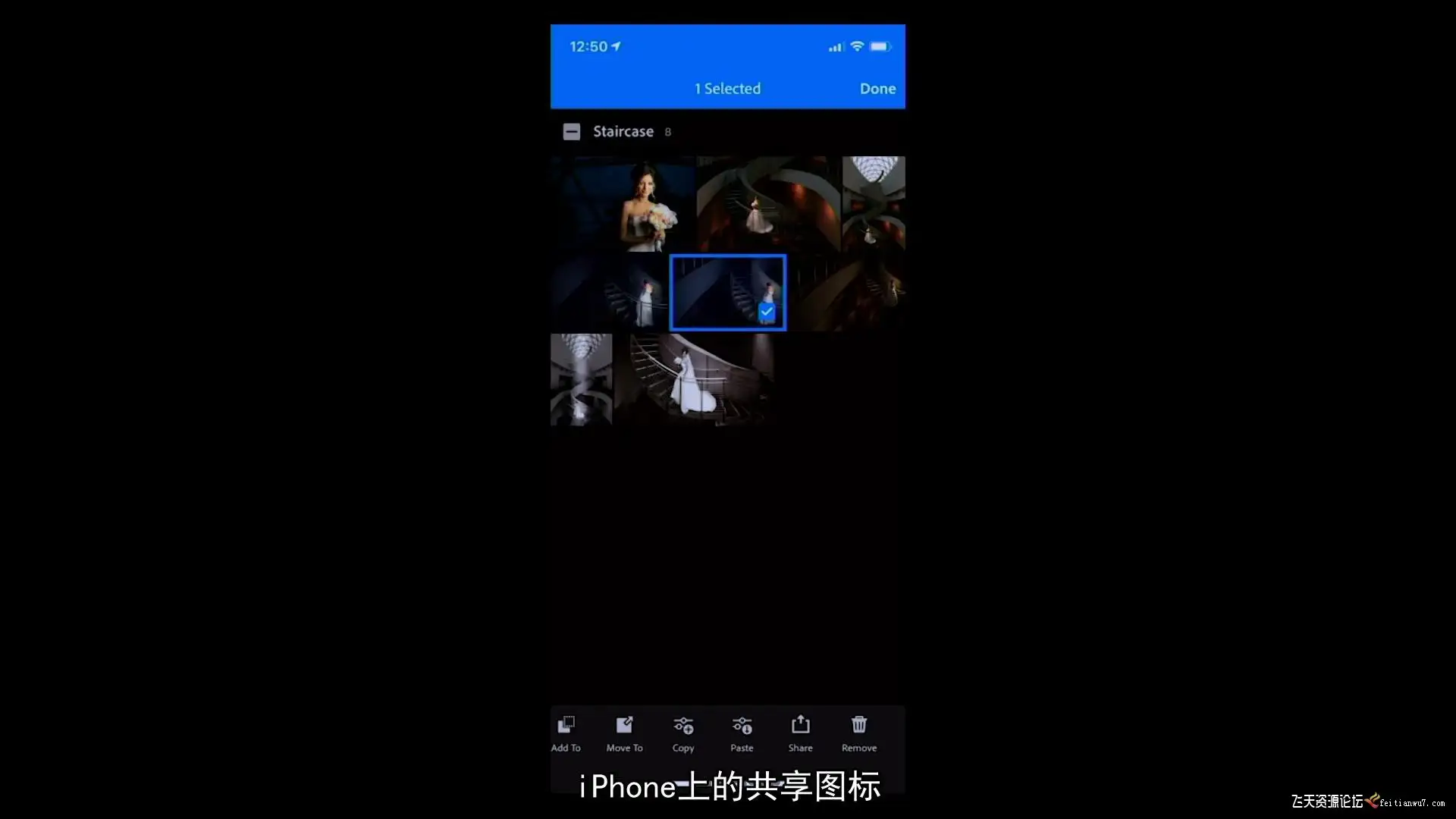 29035953405